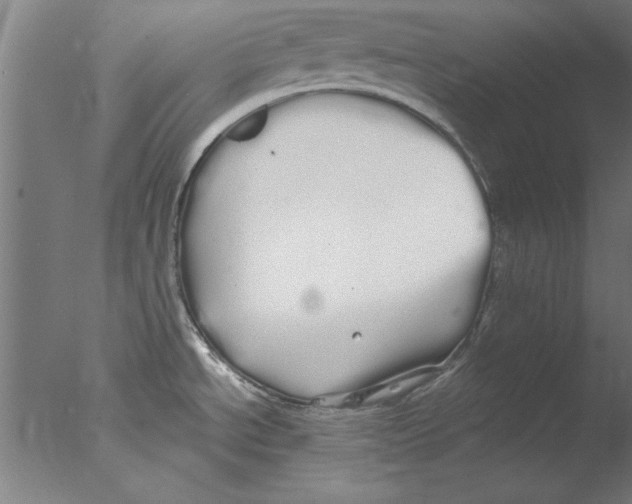 X0000076061534200610201935