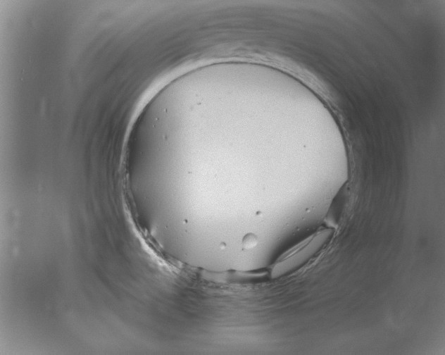 X0000076061536200610201935