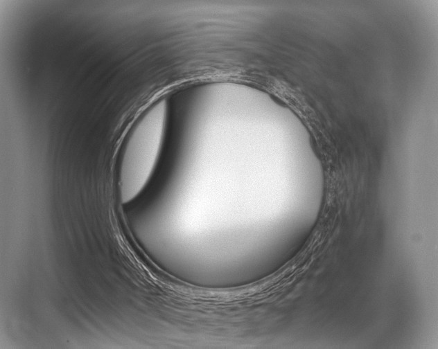 X0000076070002200609221005