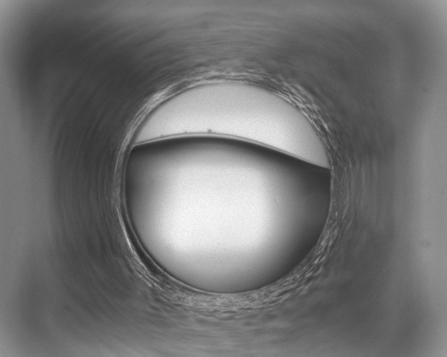 X0000076070003200609221005