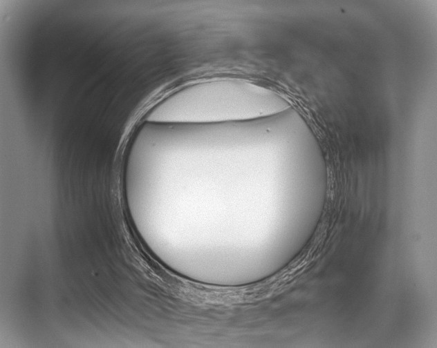 X0000076070004200609221005