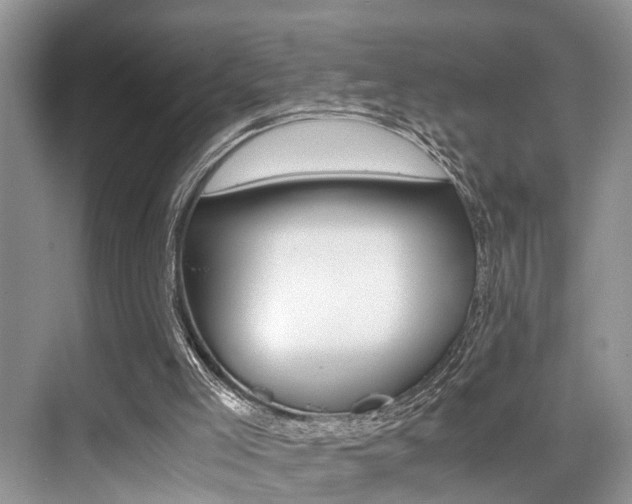 X0000076070005200609221005