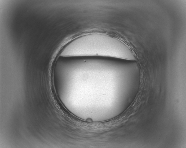 X0000076070006200609221005