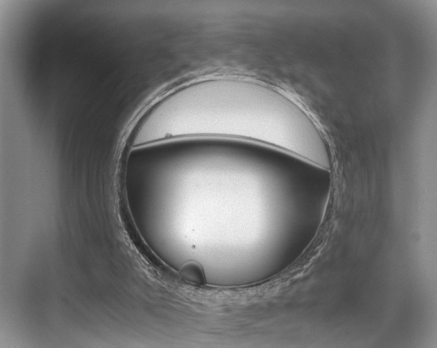 X0000076070007200609221005