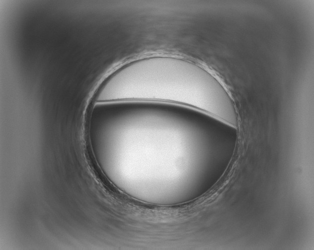 X0000076070008200609221005