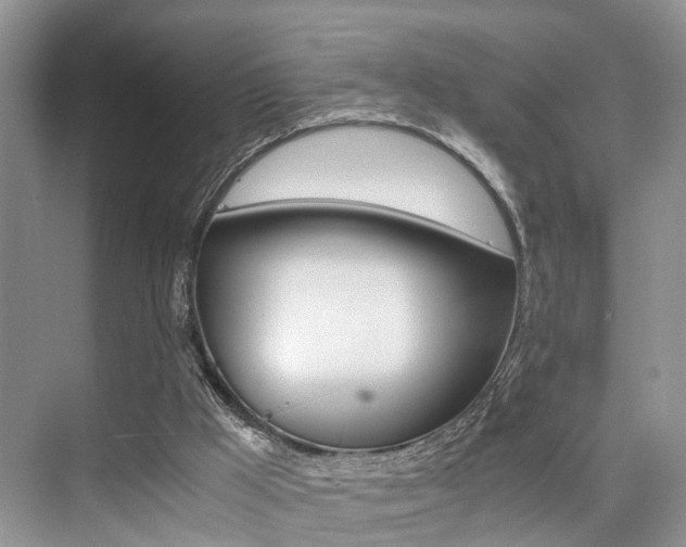 X0000076070009200609221005