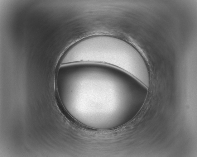 X0000076070011200609221005