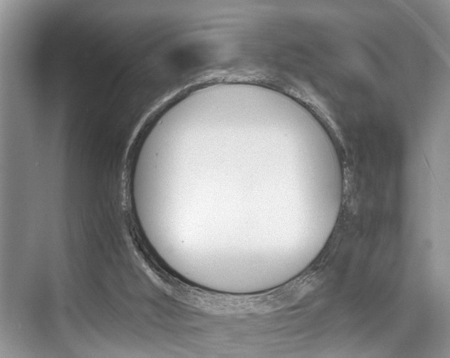 X0000076070012200609221005