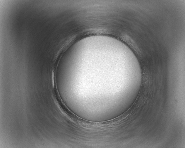 X0000076070014200609221005