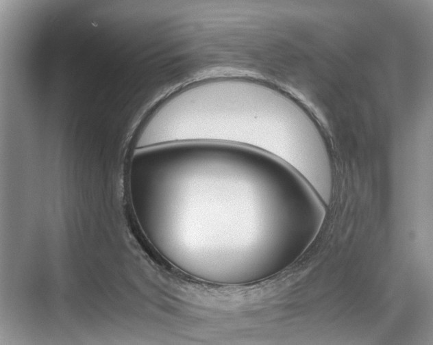 X0000076070015200609221005