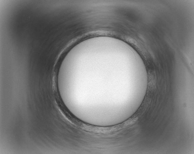 X0000076070016200609221005