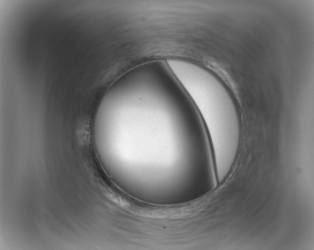 X0000076070017200609221005