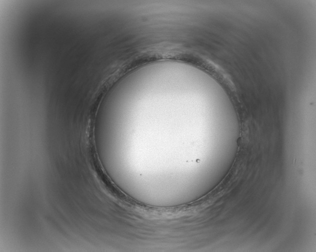 X0000076070018200609221005