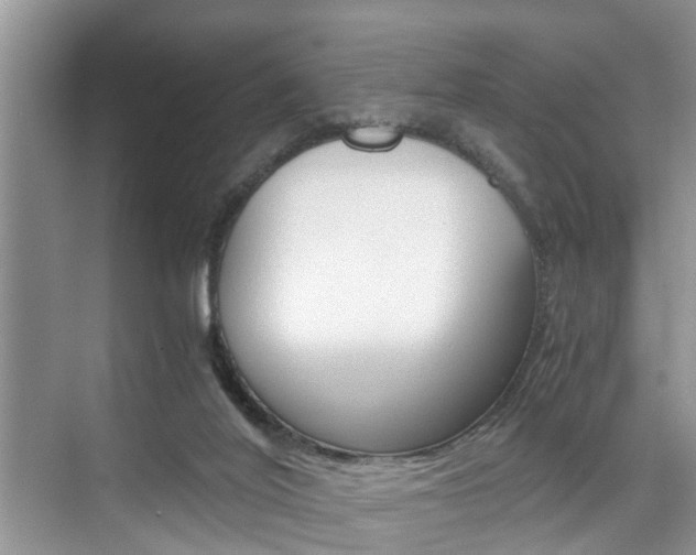 X0000076070020200609221005