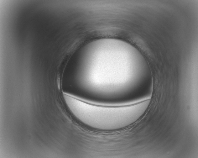 X0000076070021200609221005