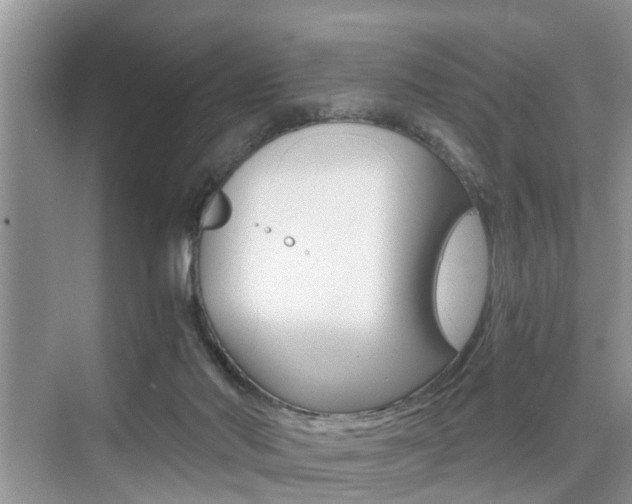 X0000076070022200609221005