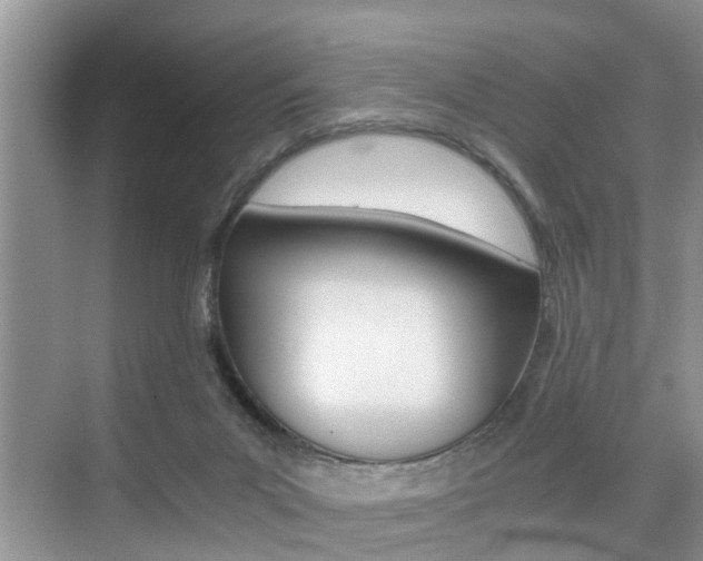 X0000076070023200609221005