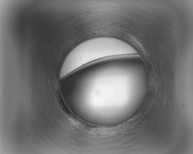 X0000076070025200609221005