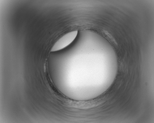 X0000076070026200609221005