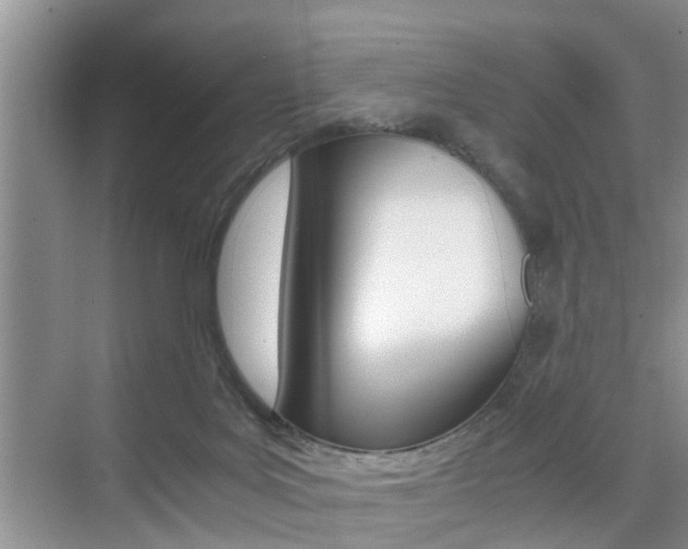 X0000076070027200609221005