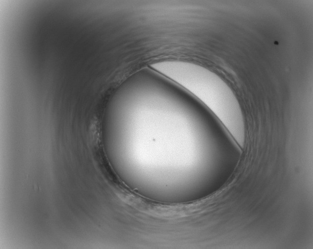 X0000076070029200609221005