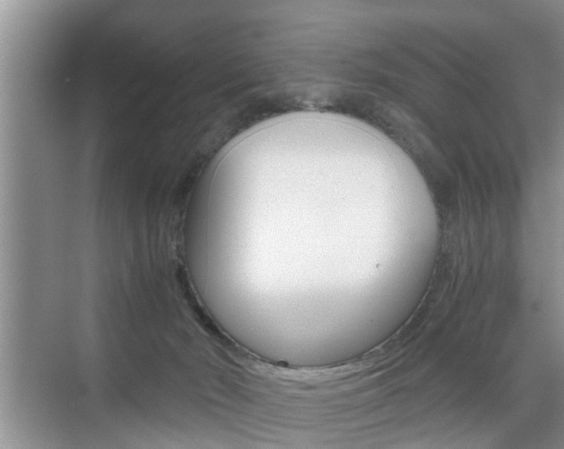 X0000076070030200609221005