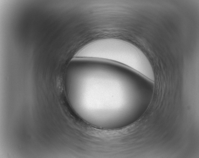 X0000076070031200609221005