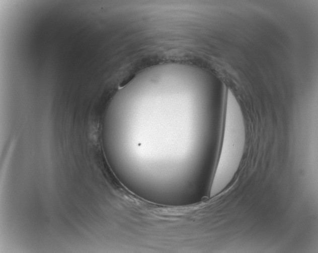 X0000076070033200609221005