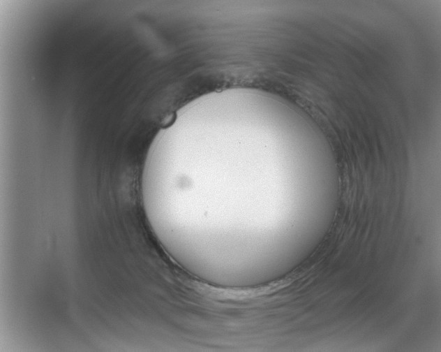 X0000076070034200609221005