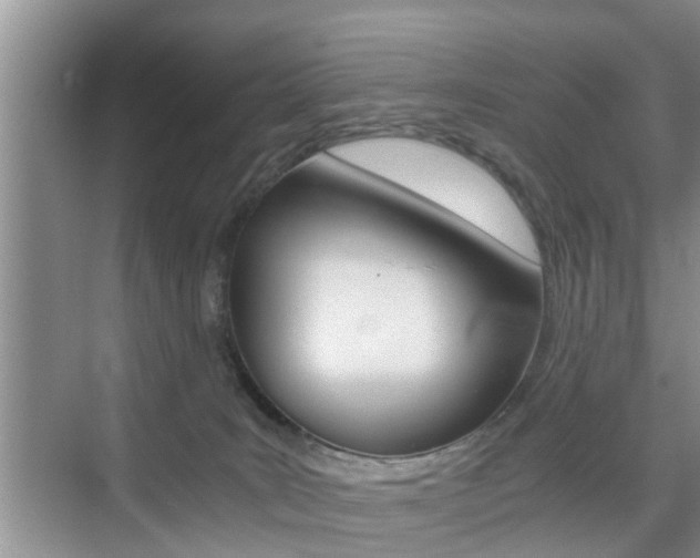 X0000076070035200609221005