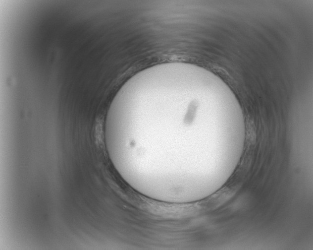 X0000076070036200609221005