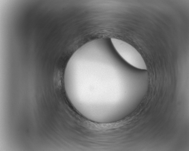 X0000076070038200609221005