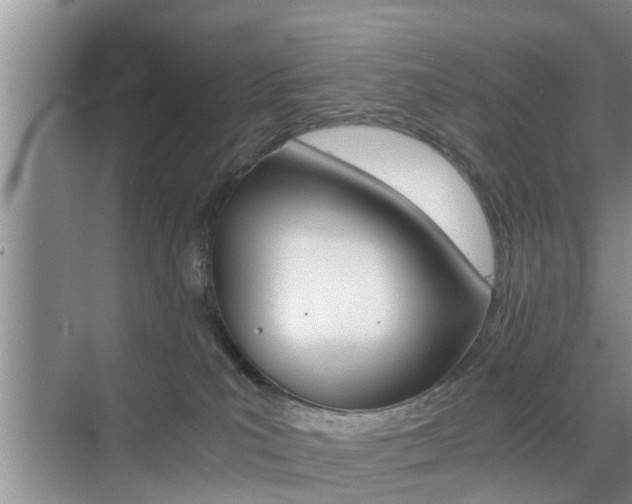 X0000076070039200609221005