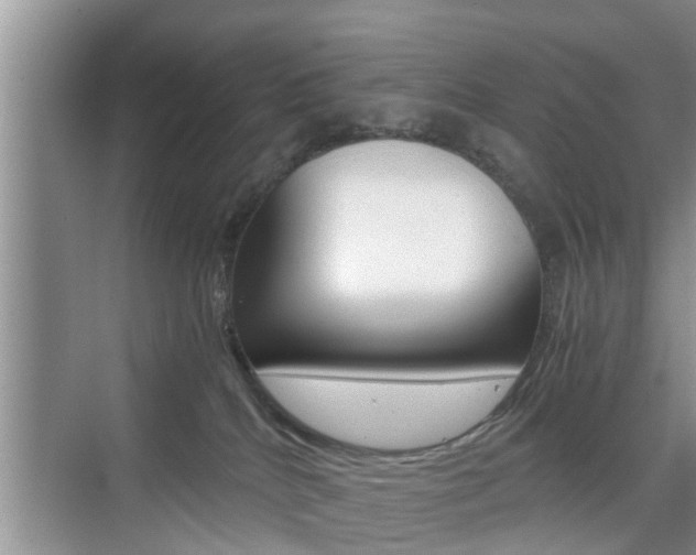 X0000076070040200609221005