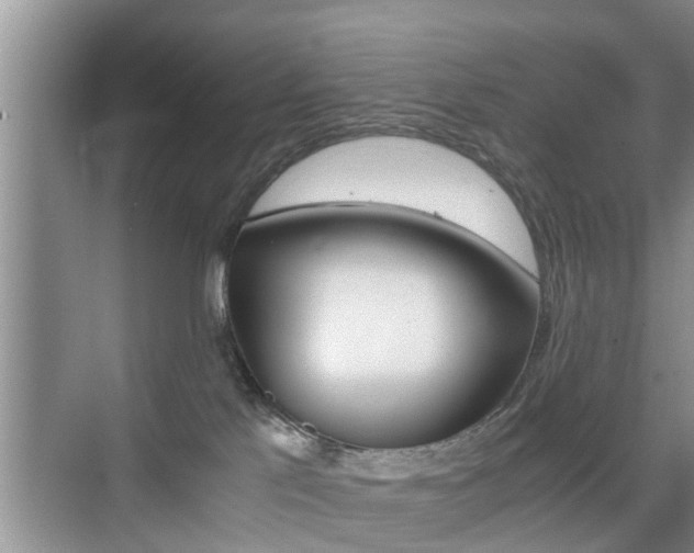 X0000076070041200609221005