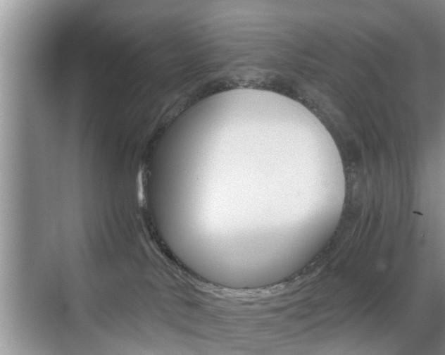 X0000076070042200609221005