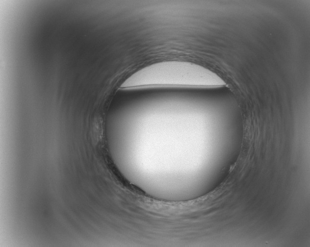 X0000076070043200609221004