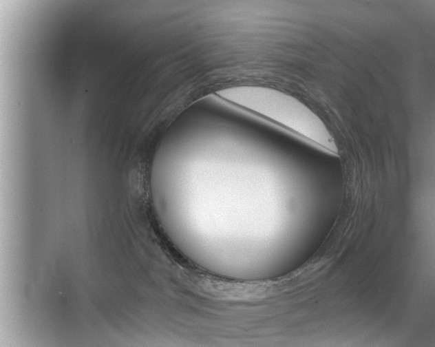 X0000076070044200609221004