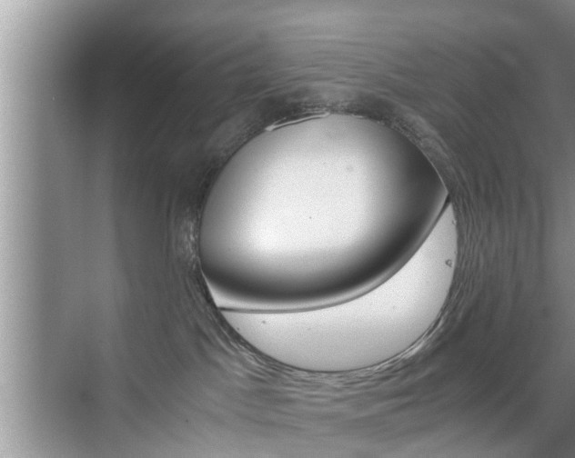 X0000076070045200609221004