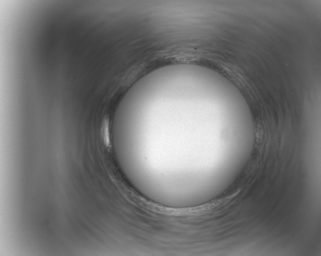 X0000076070046200609221004