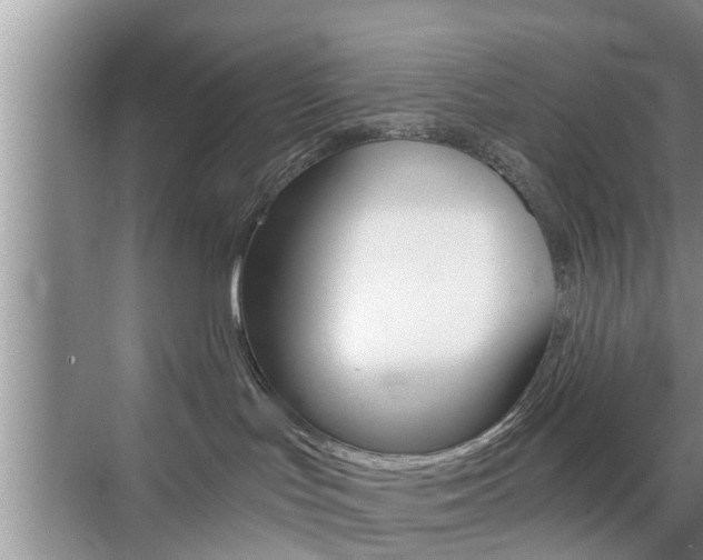 X0000076070047200609221004