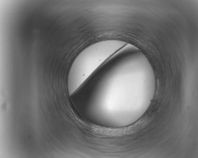 X0000076070048200609221004