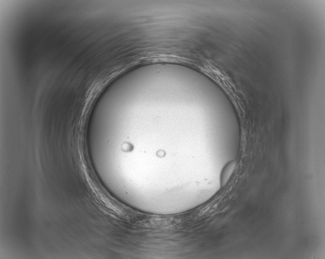 X0000076070049200609221004