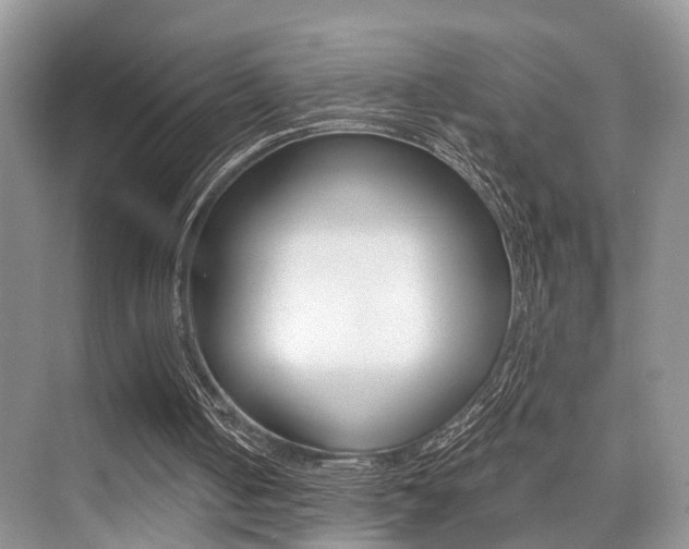 X0000076070050200609221004