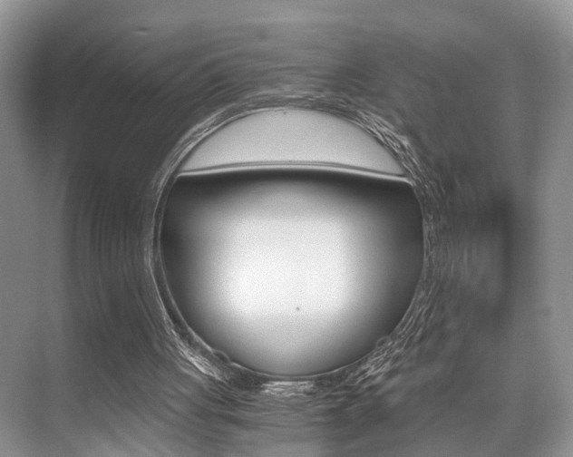 X0000076070051200609221004