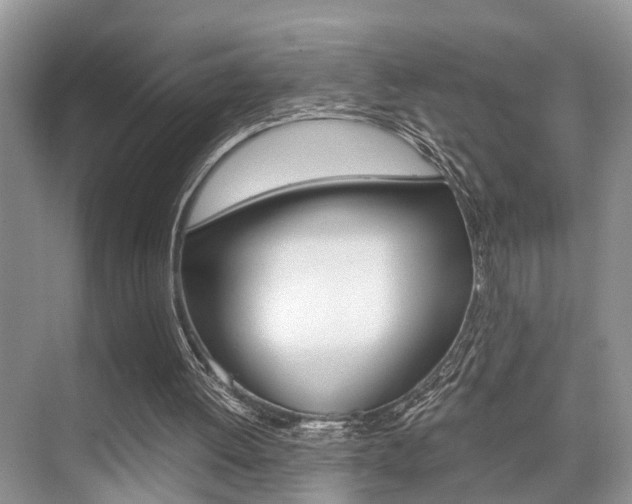 X0000076070052200609221004