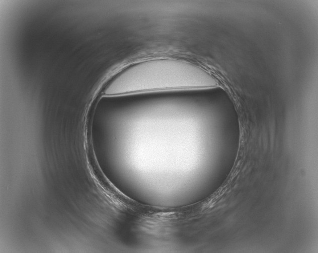 X0000076070054200609221004