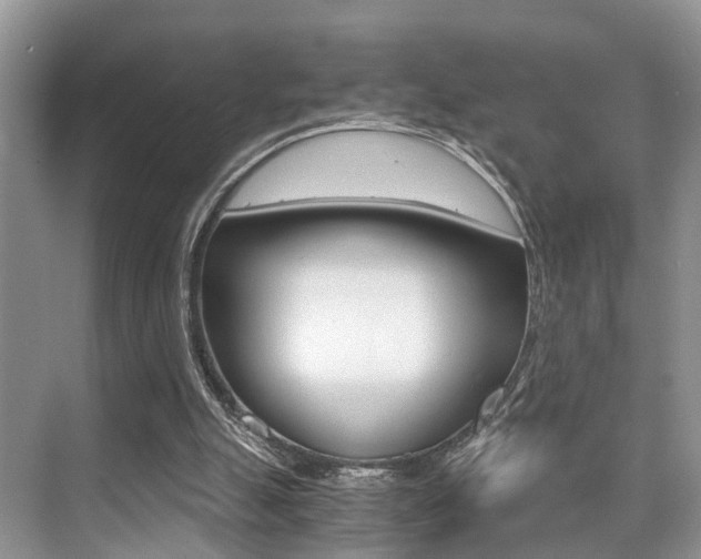 X0000076070055200609221004