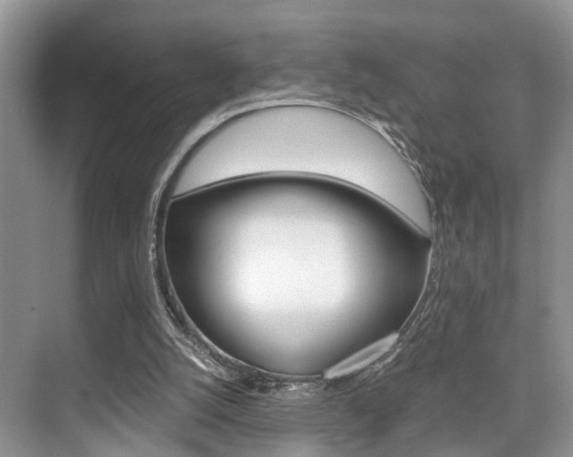 X0000076070056200609221004