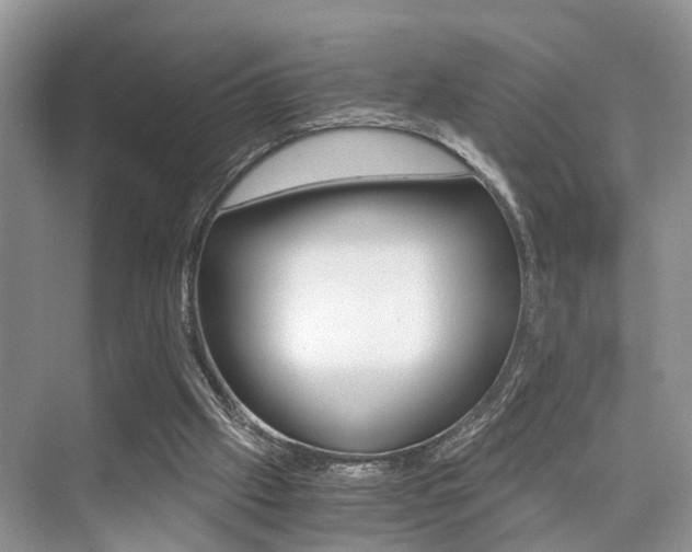 X0000076070057200609221004